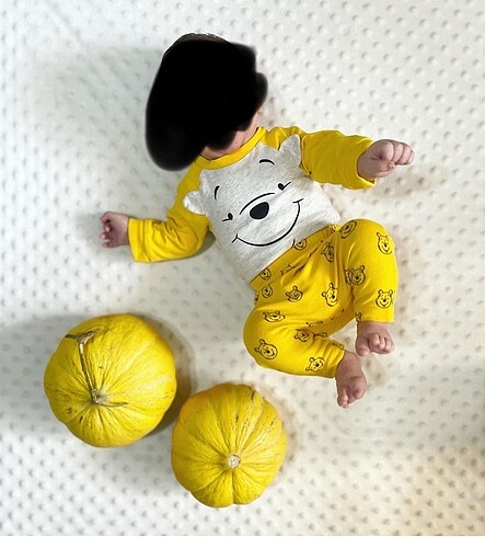 Winnie the pooh bebek tulum