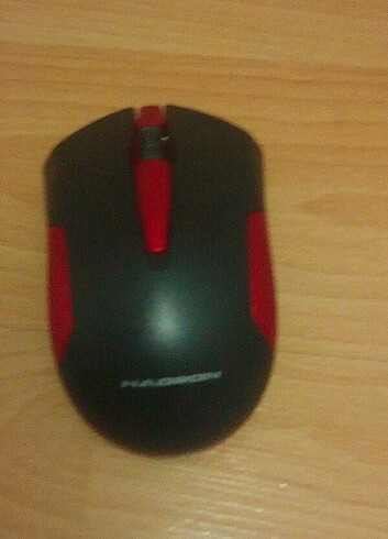 Mouse