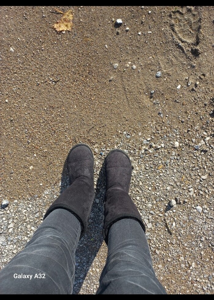 Bot markali - Görsel 2