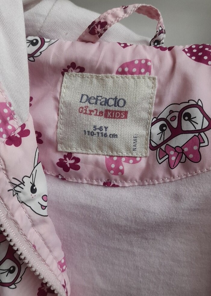 Yagmurluk - Görsel 2