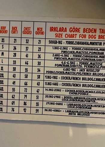 Beden Kürk Detaylı Mor Sokak Stili Köpek Tulumu