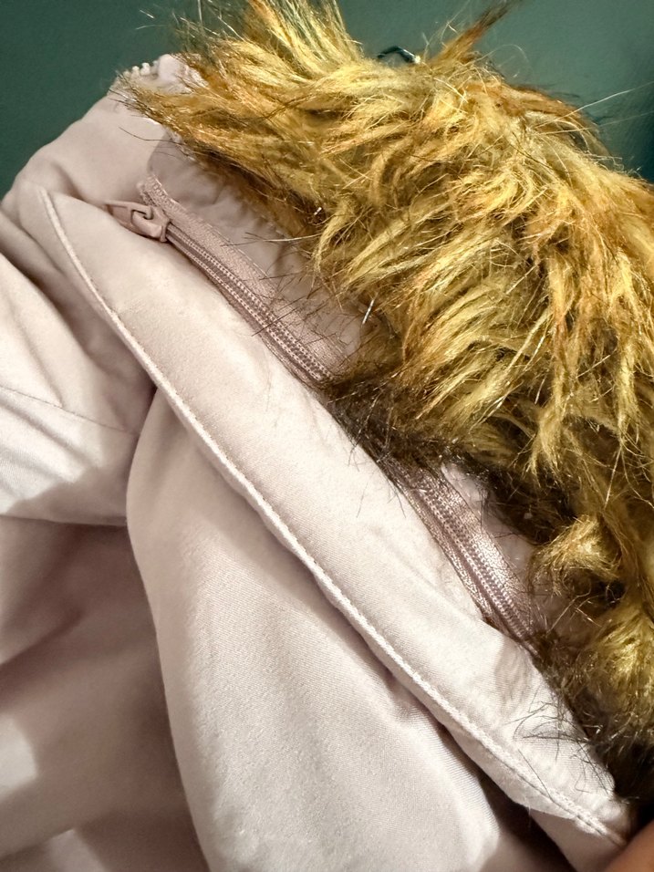 Lcw kız çocuk mont - Görsel 5