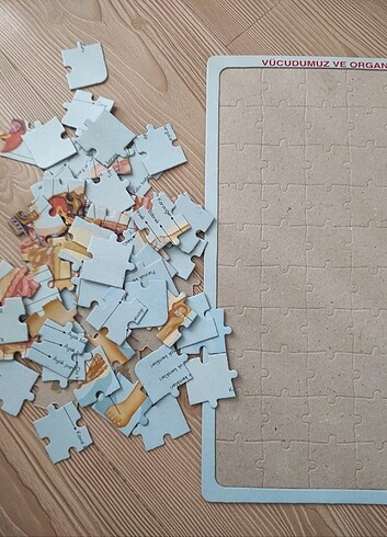 Vücut Sistemi Organlarımız Yapboz/ Maket - Görsel 6