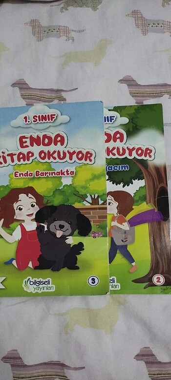  Beden Renk 1. Sınıf çocuk kitabı 