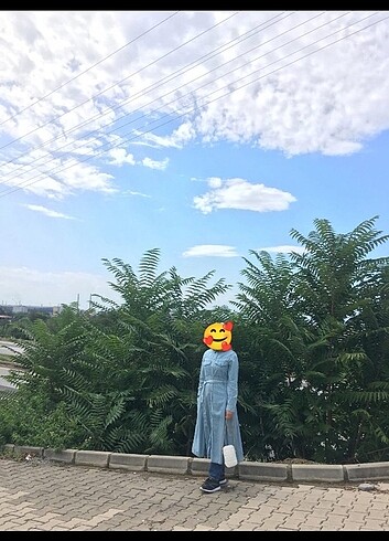 Kot kap