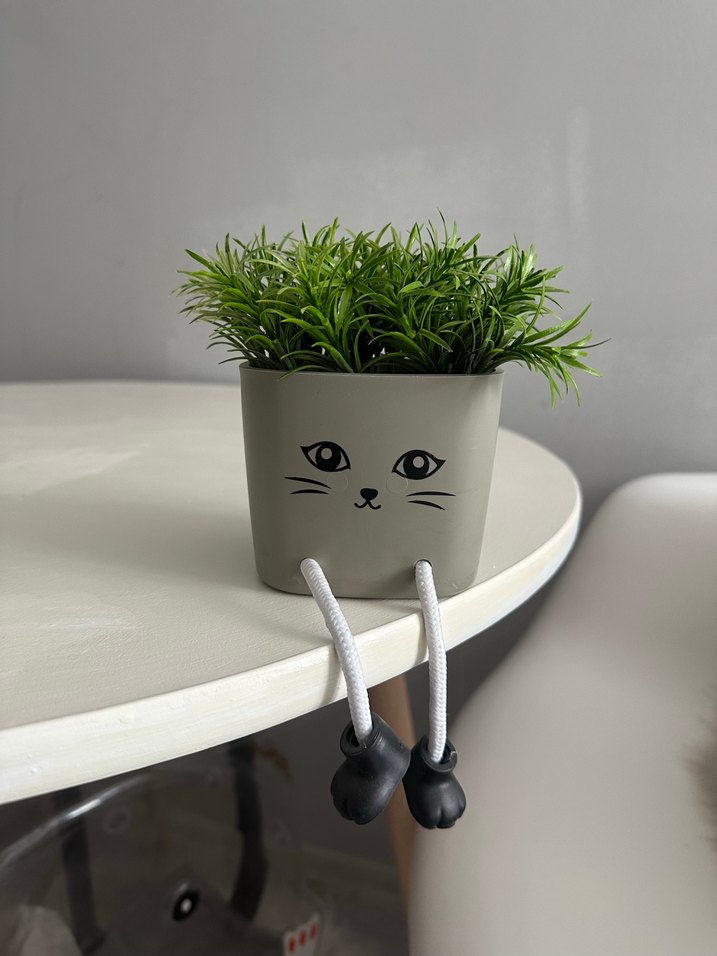 Kedi Yüzlü Gri Saksı - Dekoratif Bitki ve saksı - Görsel 3