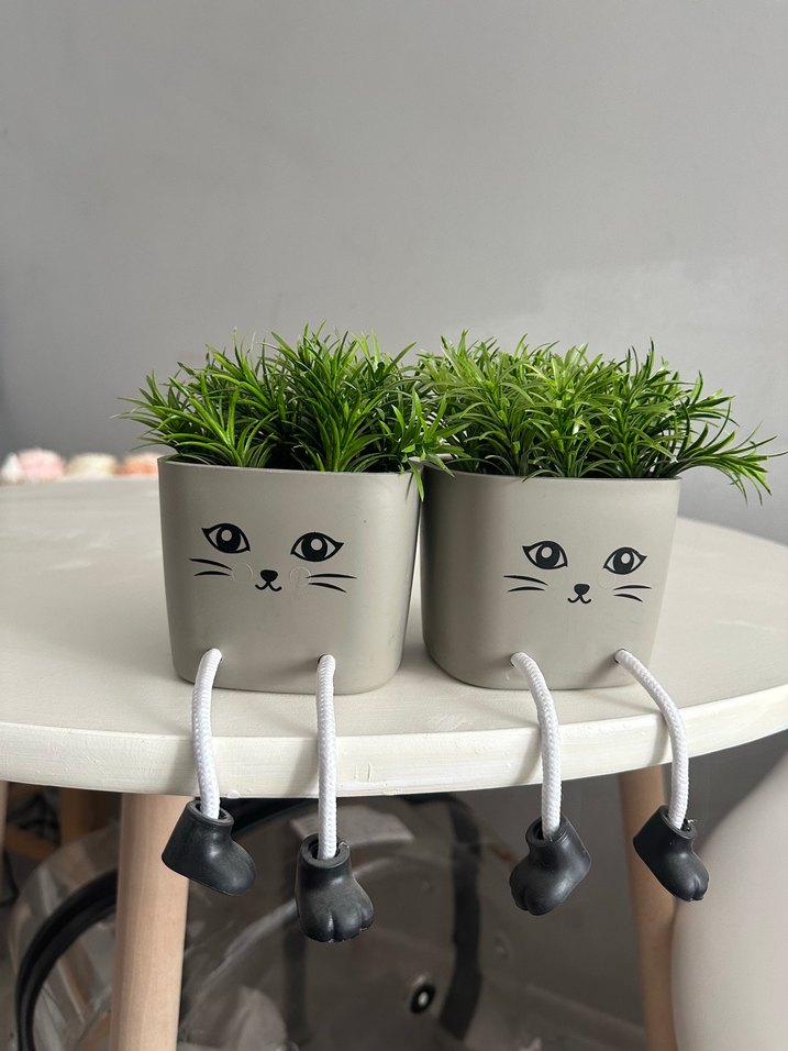 Kedi Yüzlü Gri Saksı - Dekoratif Bitki ve saksı - Görsel 4