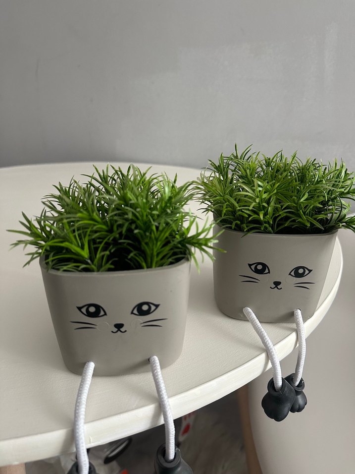 Kedi Yüzlü Gri Saksı - Dekoratif Bitki ve saksı - Görsel 2