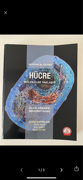 Hücre Moleküler Yaklaşım