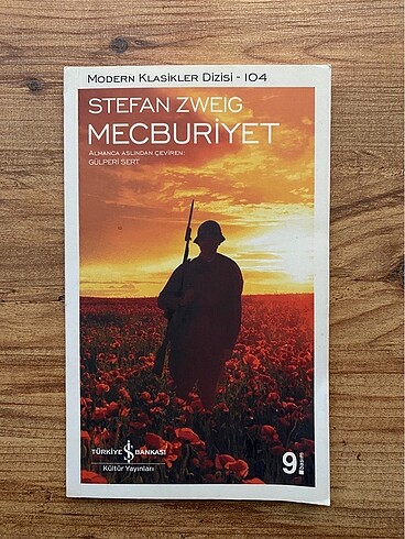 Modern klasikler dizisinden Stefan Zweıg-Mecburiyet