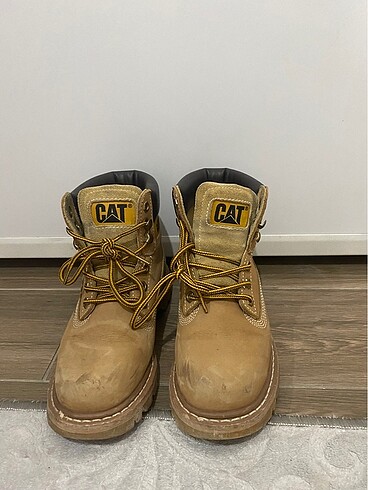 36 Beden Orijinal cat bot