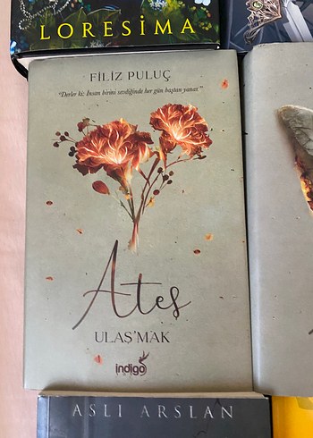 filiz puluç ates 2 ciltli
