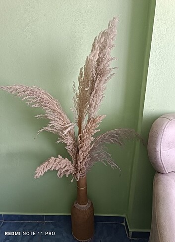 Beden Dekorasyon pampas