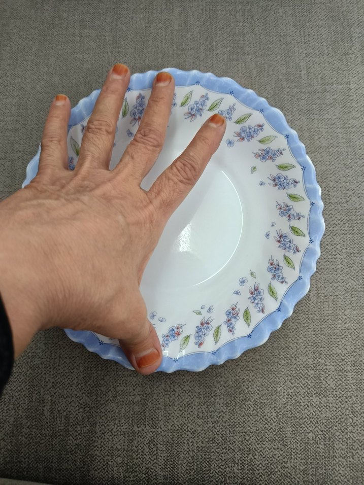 Arcopal france Mavi Pastel Çiçek Desenli Tabak - Görsel 3