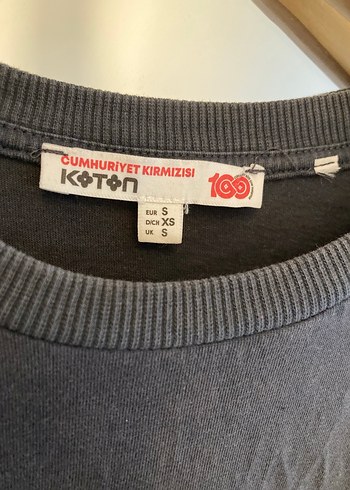 1923 baskılı Gri Kısa Kollu  Kadın Tişört - Görsel 2