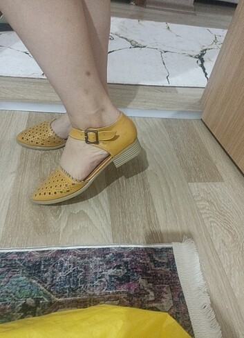 36 numara 