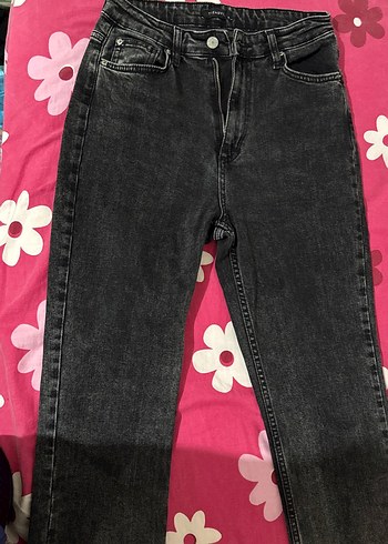 Kot pantalon