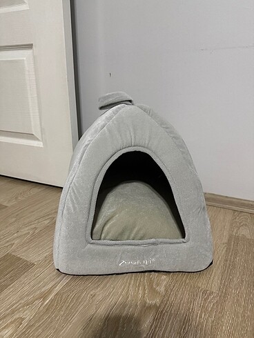 Kedi evi