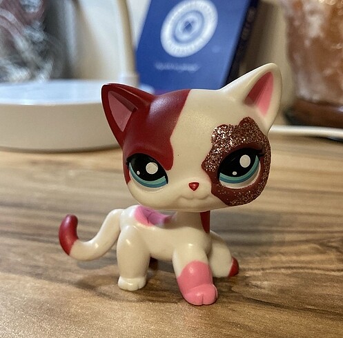 Lps shorthair miniş