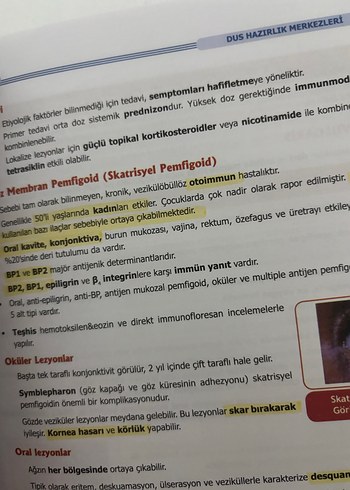 DUSDATA PERİODONTOLOJİ - Görsel 2