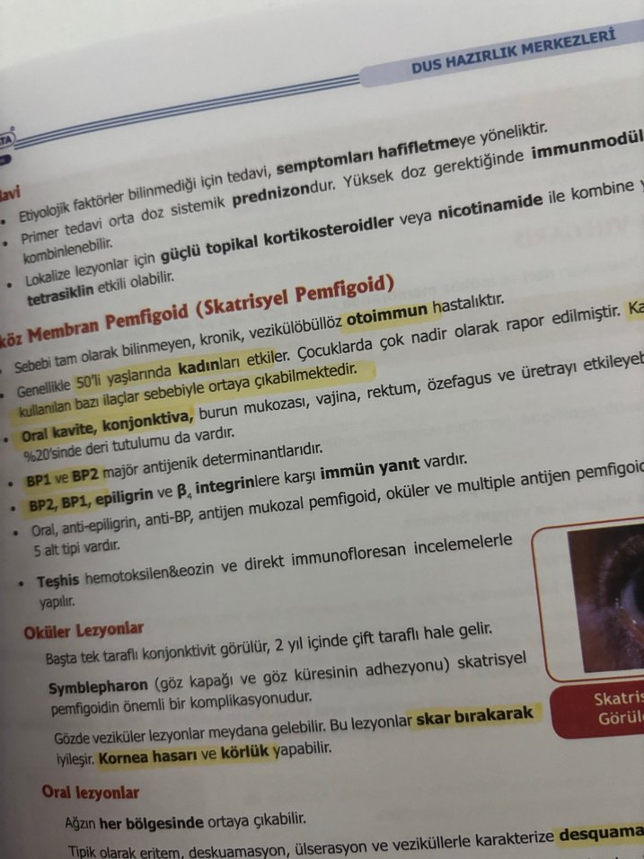 DUSDATA PERİODONTOLOJİ - Görsel 2