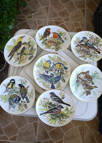 Çiçek ve Kuş Desenli Çok Renkli Tabaklar - Görsel 5