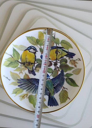 Çiçek ve Kuş Desenli Çok Renkli Tabaklar - Görsel 3