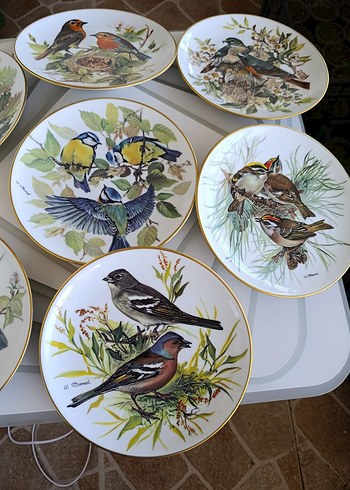 Çiçek ve Kuş Desenli Çok Renkli Tabaklar - Görsel 2