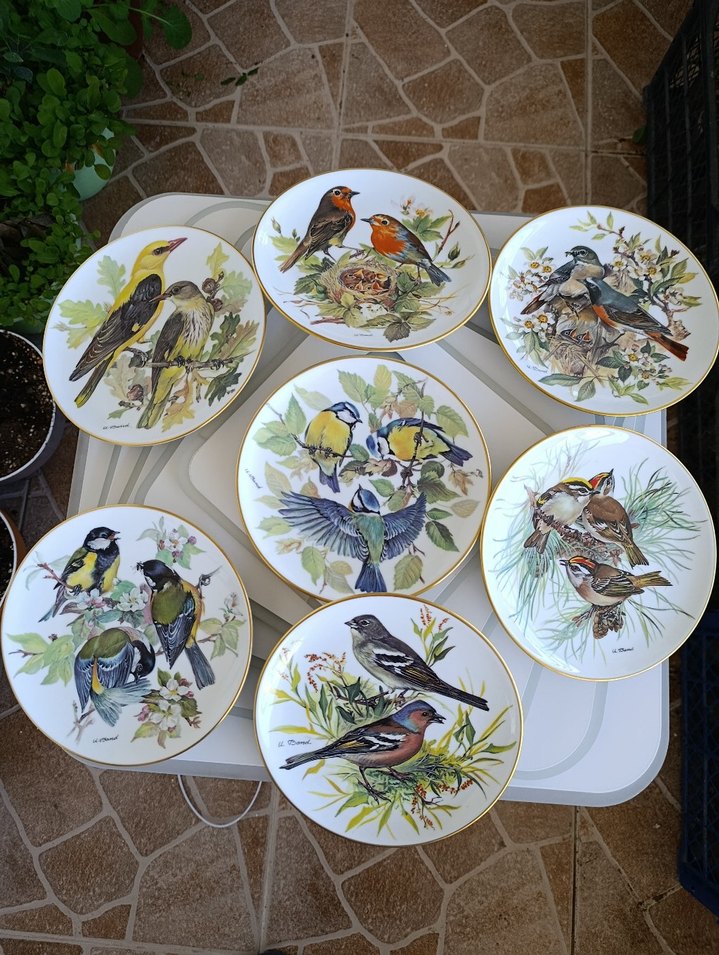 Çiçek ve Kuş Desenli Çok Renkli Tabaklar - Görsel 5