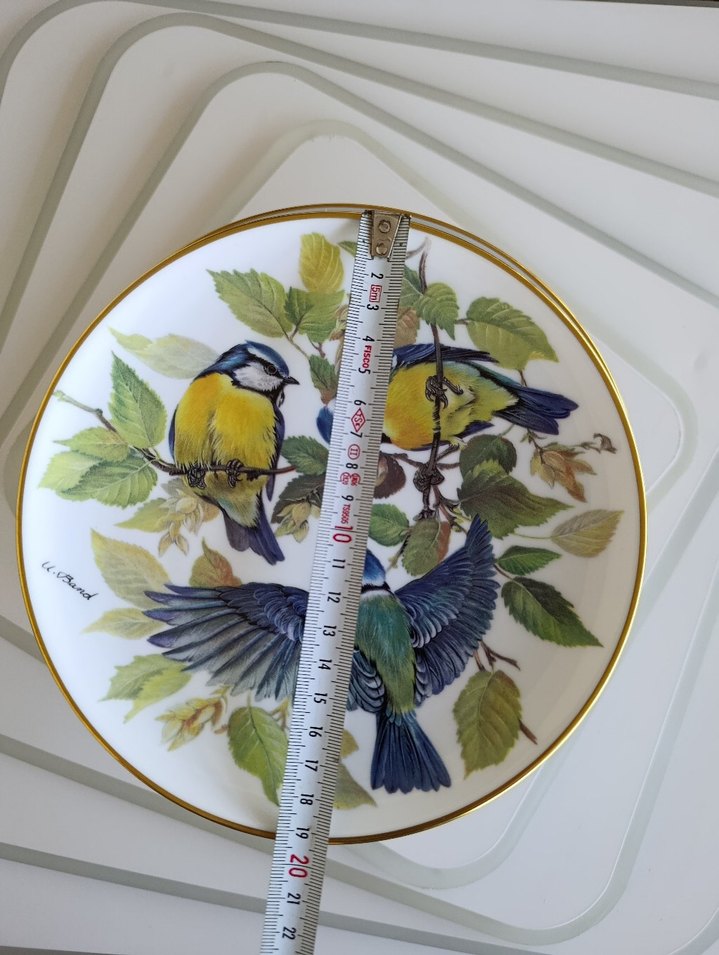 Çiçek ve Kuş Desenli Çok Renkli Tabaklar - Görsel 3