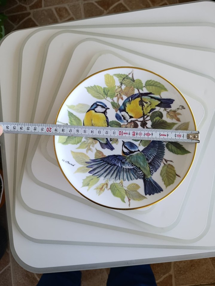Çiçek ve Kuş Desenli Çok Renkli Tabaklar - Görsel 4
