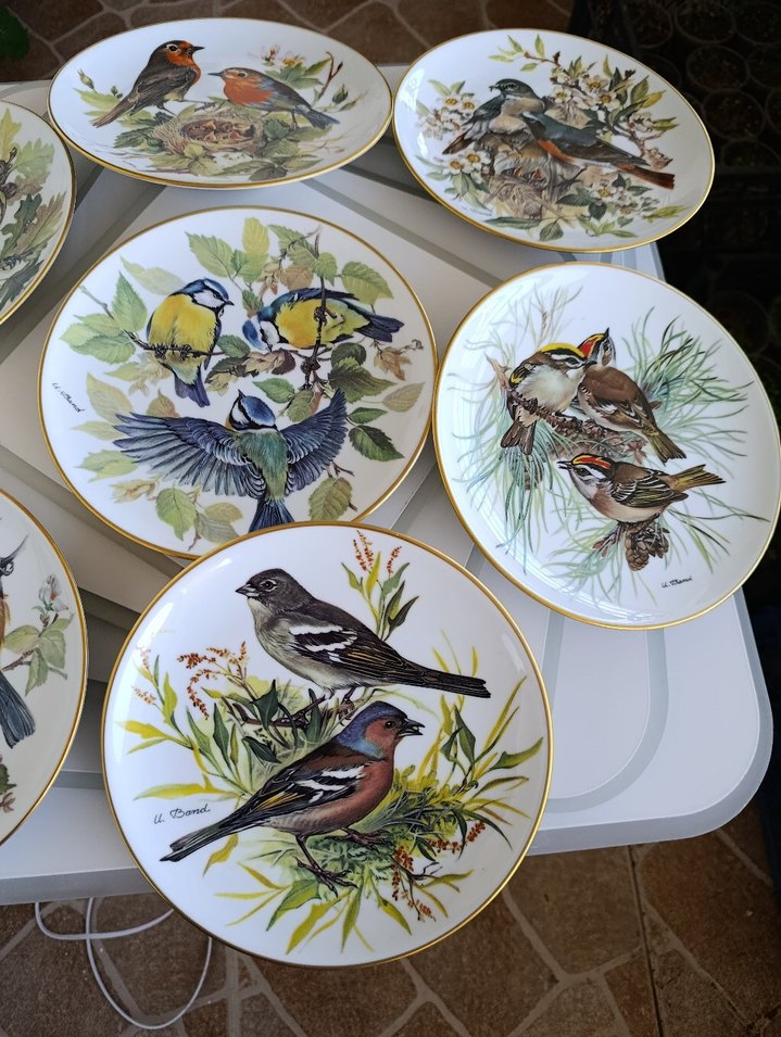 Çiçek ve Kuş Desenli Çok Renkli Tabaklar - Görsel 2