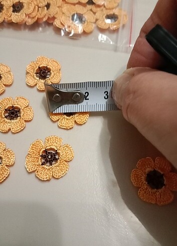 Beden Ayçiçeği ???? adet fiyatı 10 TL