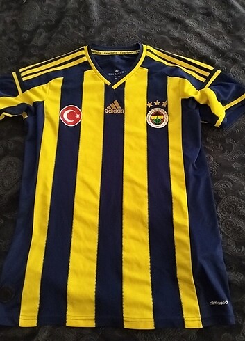 Fenerbahçe Fenerbahçe orjinal tişört