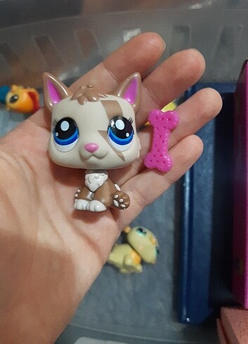 İlan minis