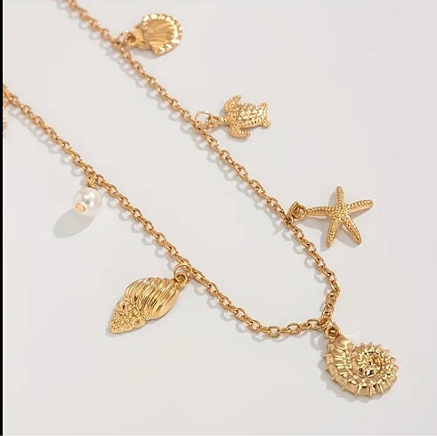 Deniz ürünlü vücut zincir - Görsel 3