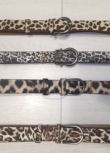Leopar Kemer 