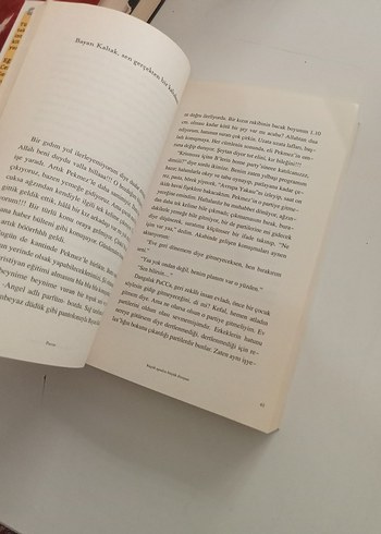 Pucca Günlük - Küçük Aptalın Büyük Dünyası - Görsel 6