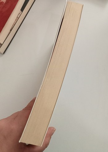 Pucca Günlük - Küçük Aptalın Büyük Dünyası - Görsel 3