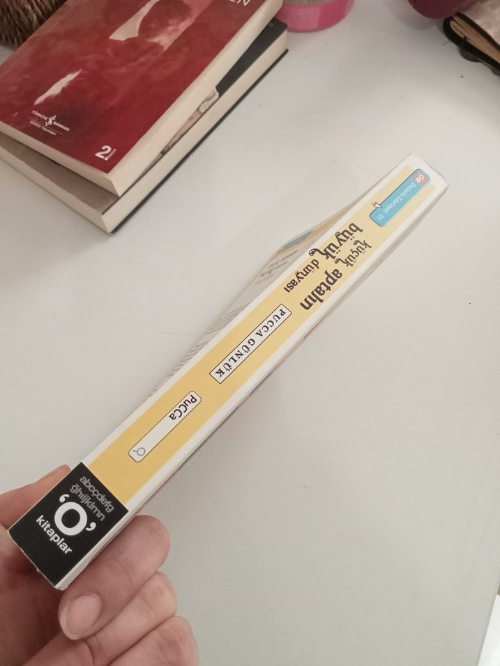 Pucca Günlük - Küçük Aptalın Büyük Dünyası - Görsel 4