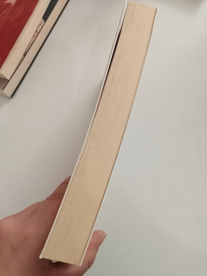 Pucca Günlük - Küçük Aptalın Büyük Dünyası - Görsel 3