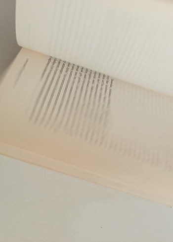 Pucca Günlük 2 - Ve Geri Kalan Her Şey - Görsel 6