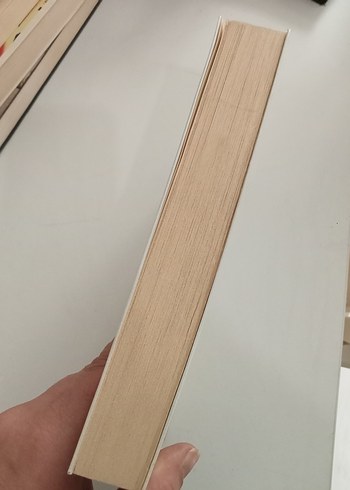 Pucca Günlük 2 - Ve Geri Kalan Her Şey - Görsel 3