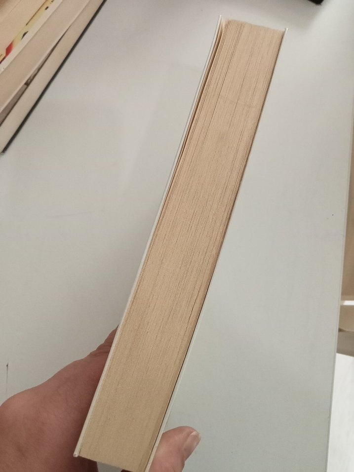 Pucca Günlük 2 - Ve Geri Kalan Her Şey - Görsel 3