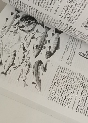 Macmillan Öğrenci Sözlüğü Yeni Baskı - Görsel 7