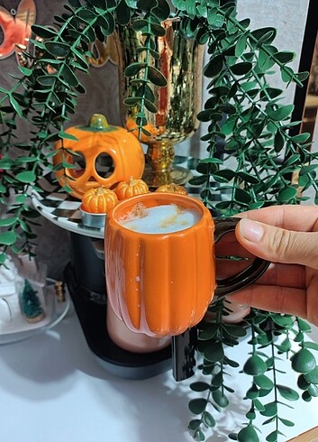 Lc Waikiki Home Lcw home kupa