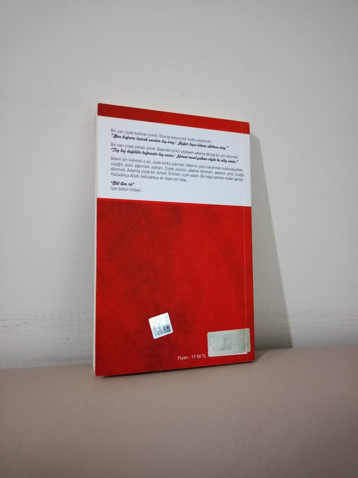 delilim yok kalbimden başka serdar tuncer - Görsel 2