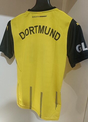 Borussia Dortmund Forma