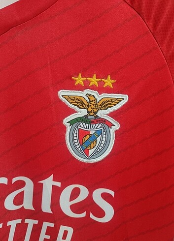 l Beden Benfica Forma