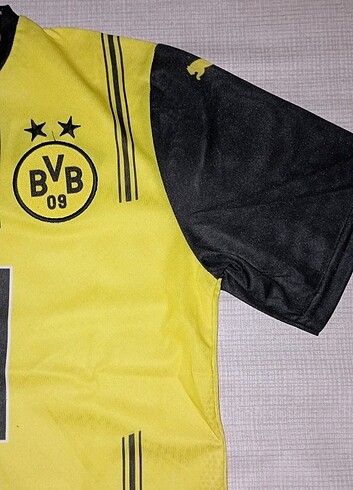 Borussia Dortmund Forma